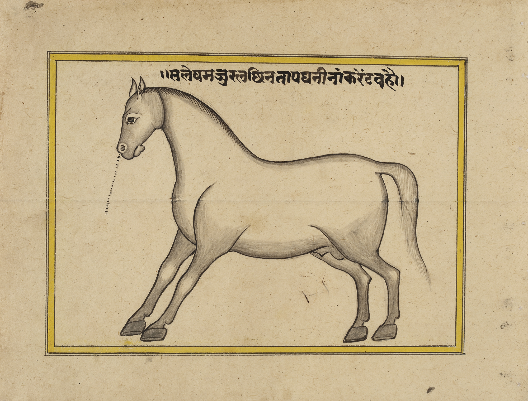 FIFTEEN ILLUSTRATED LEAVES FROM A MANUSCRIPT ON HORSES, INDIA, RAJASTHAN, 19TH CENTURY - Image 20 of 32