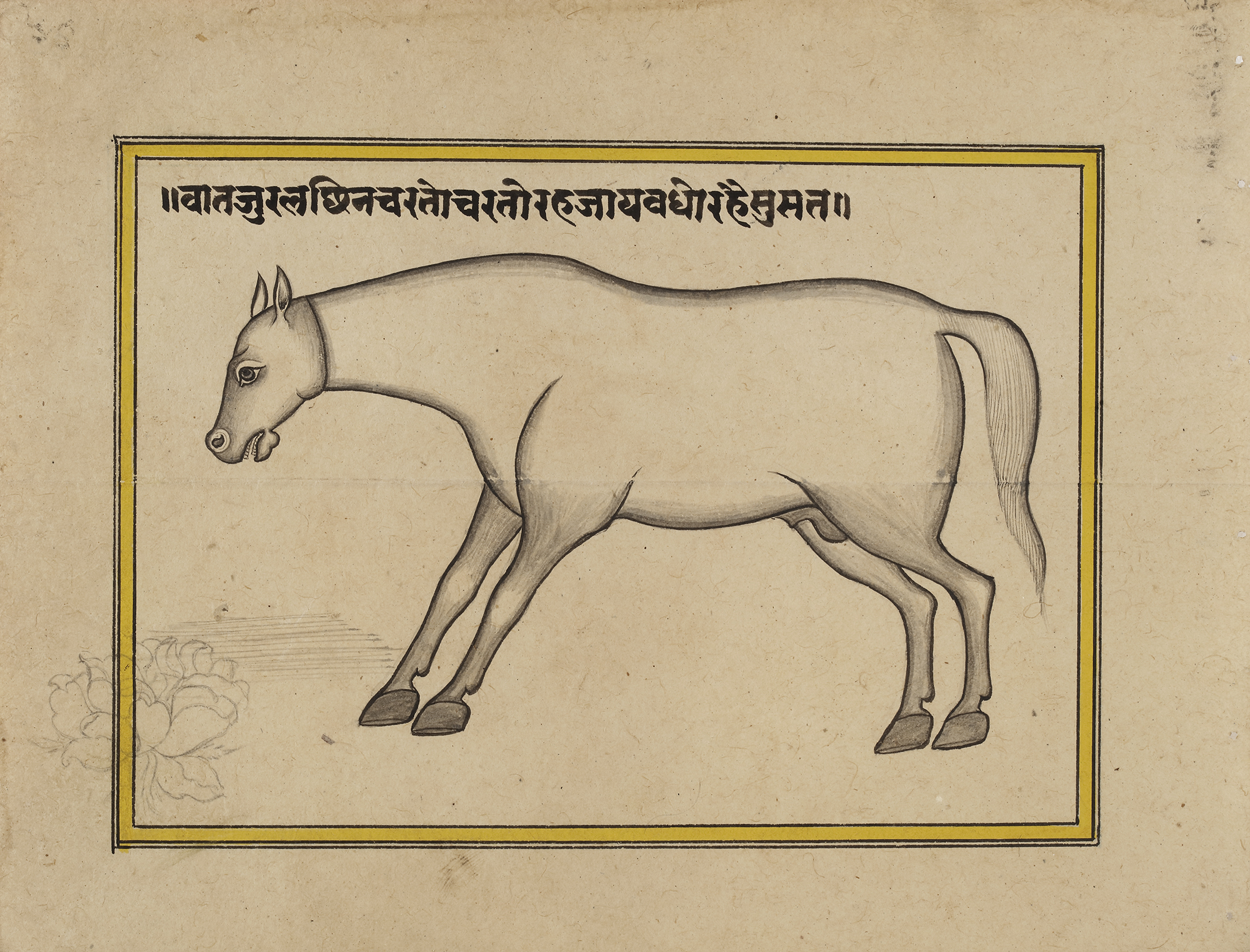 FIFTEEN ILLUSTRATED LEAVES FROM A MANUSCRIPT ON HORSES, INDIA, RAJASTHAN, 19TH CENTURY - Image 16 of 32