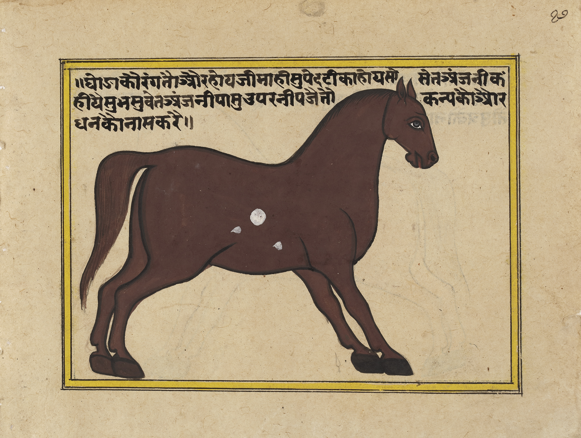 FIFTEEN ILLUSTRATED LEAVES FROM A MANUSCRIPT ON HORSES, INDIA, RAJASTHAN, 19TH CENTURY - Image 26 of 32