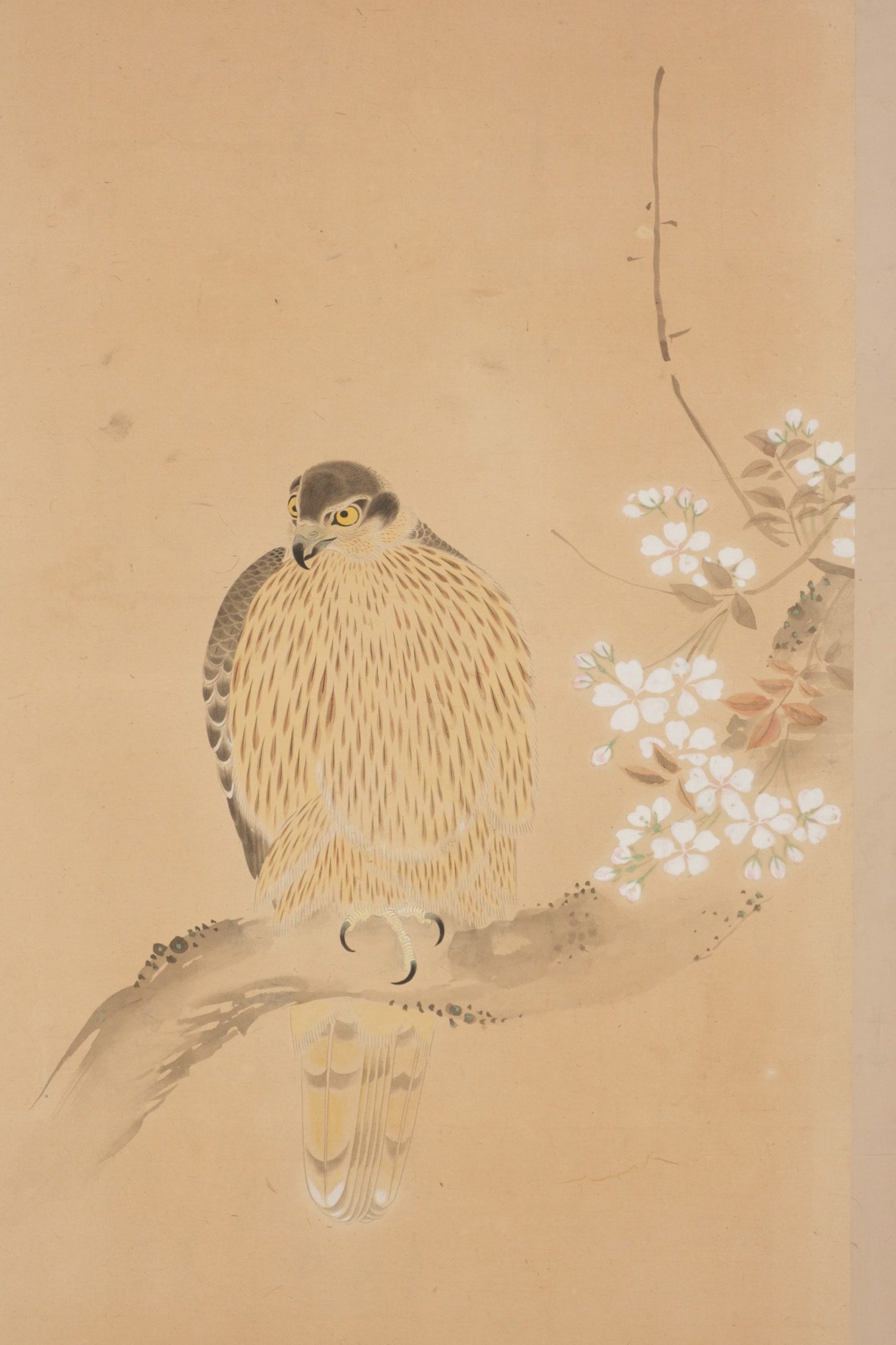 A LARGE JAPANESE SIX-PANEL SCREEN WITH HAWKS, FIRST HALF 19TH CENTURY (LATE EDO PERIOD) - Image 3 of 15