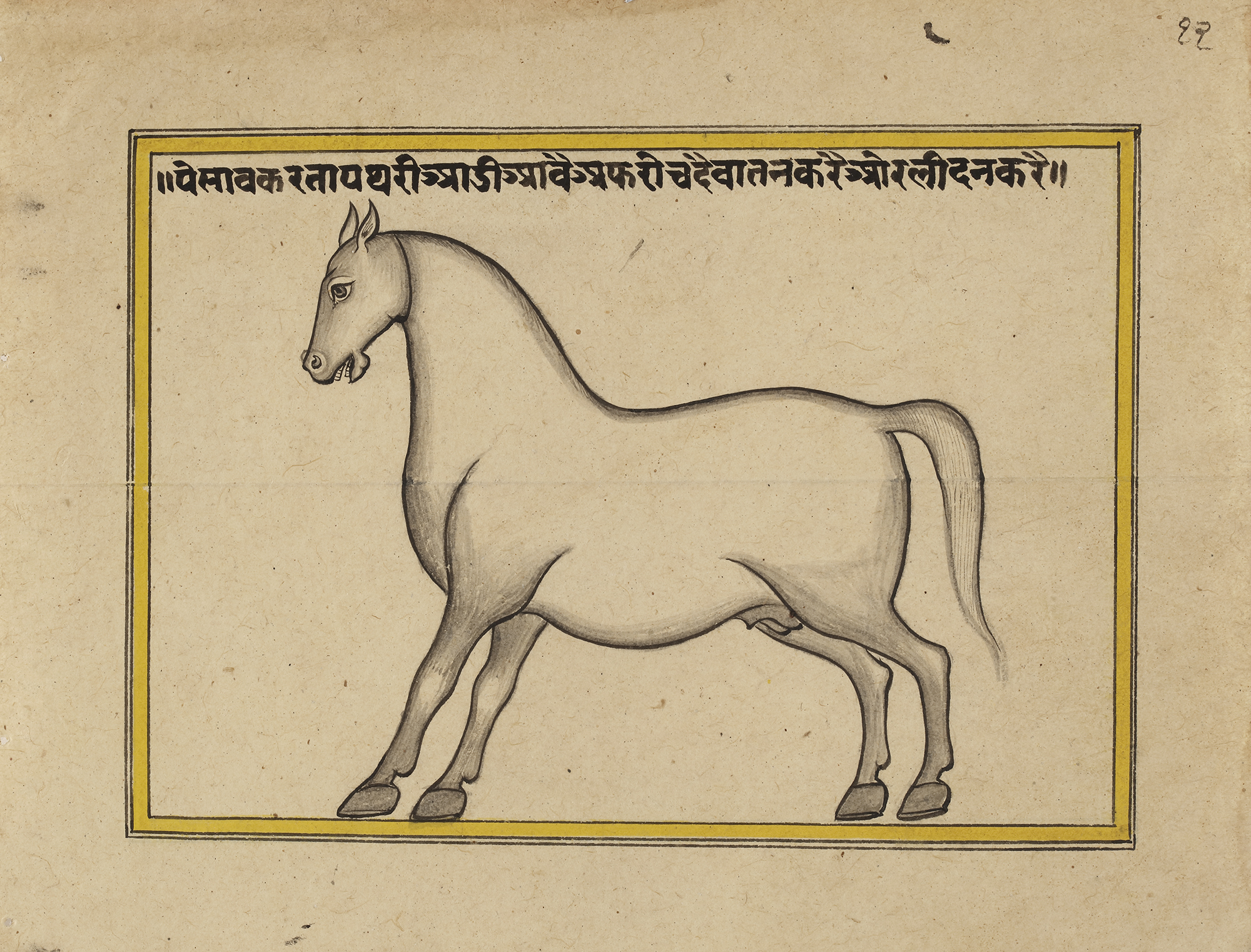 FIFTEEN ILLUSTRATED LEAVES FROM A MANUSCRIPT ON HORSES, INDIA, RAJASTHAN, 19TH CENTURY - Image 30 of 32