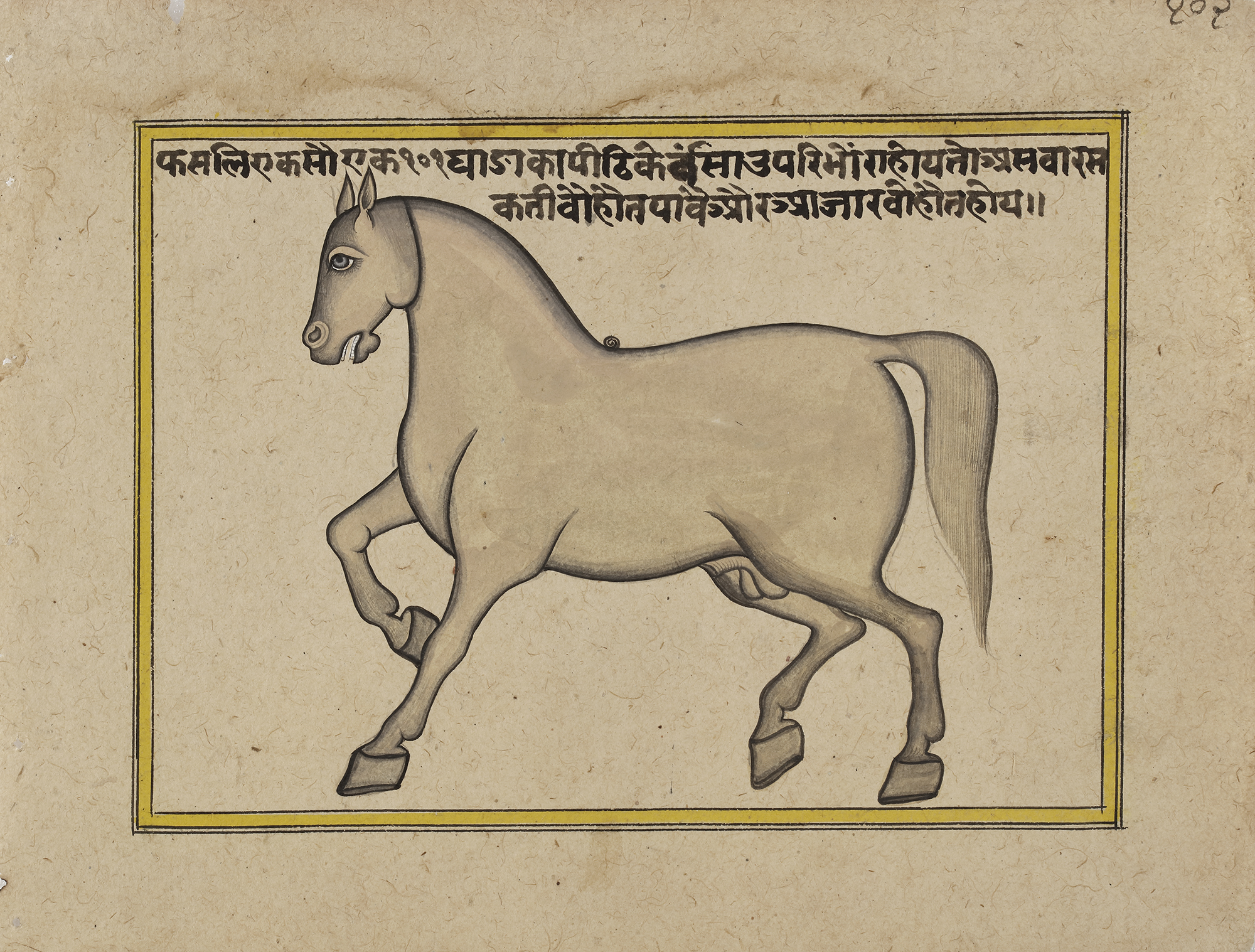 FIFTEEN ILLUSTRATED LEAVES FROM A MANUSCRIPT ON HORSES, INDIA, RAJASTHAN, 19TH CENTURY - Image 13 of 32