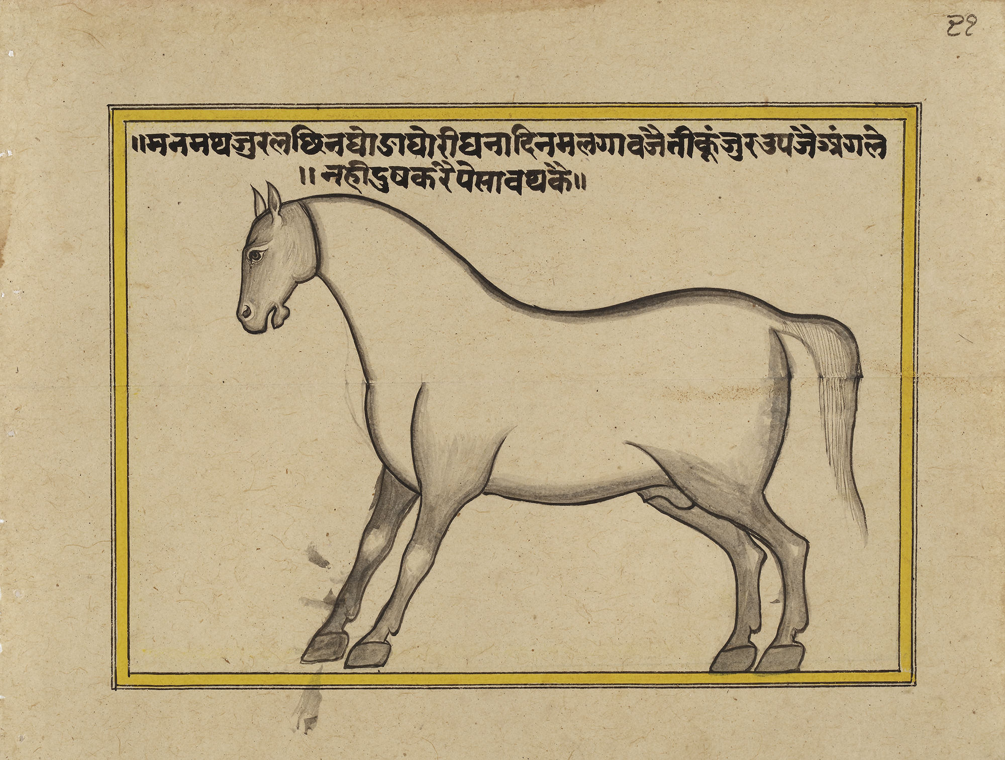 FIFTEEN ILLUSTRATED LEAVES FROM A MANUSCRIPT ON HORSES, INDIA, RAJASTHAN, 19TH CENTURY - Image 12 of 32