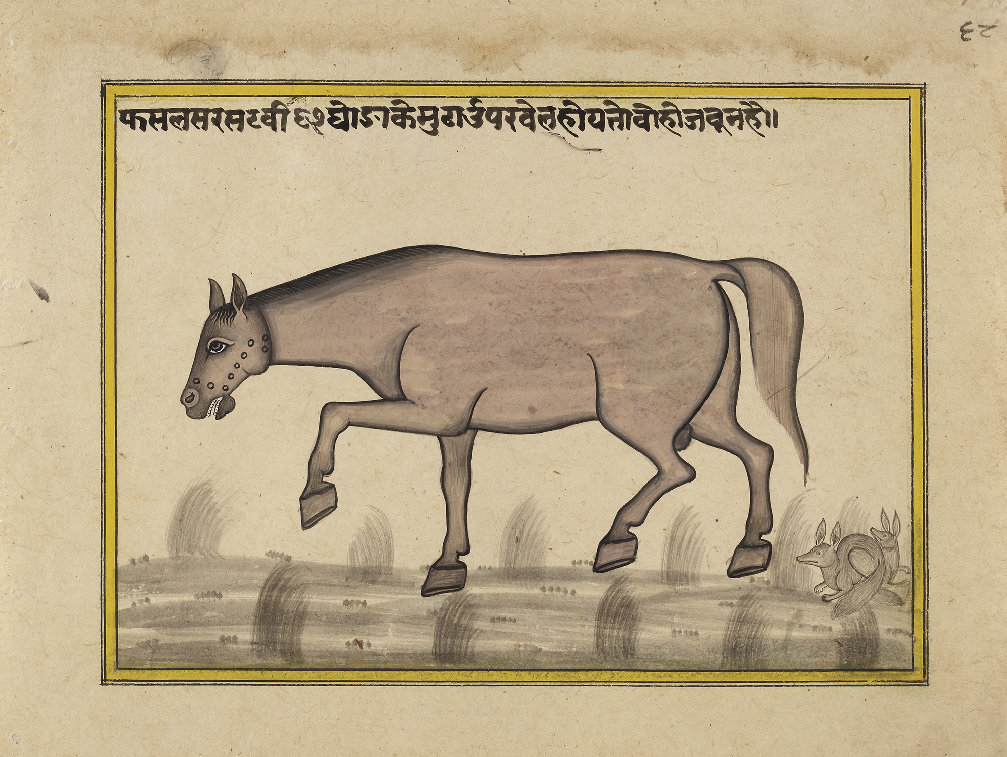 FIFTEEN ILLUSTRATED LEAVES FROM A MANUSCRIPT ON HORSES, INDIA, RAJASTHAN, 19TH CENTURY - Image 18 of 32