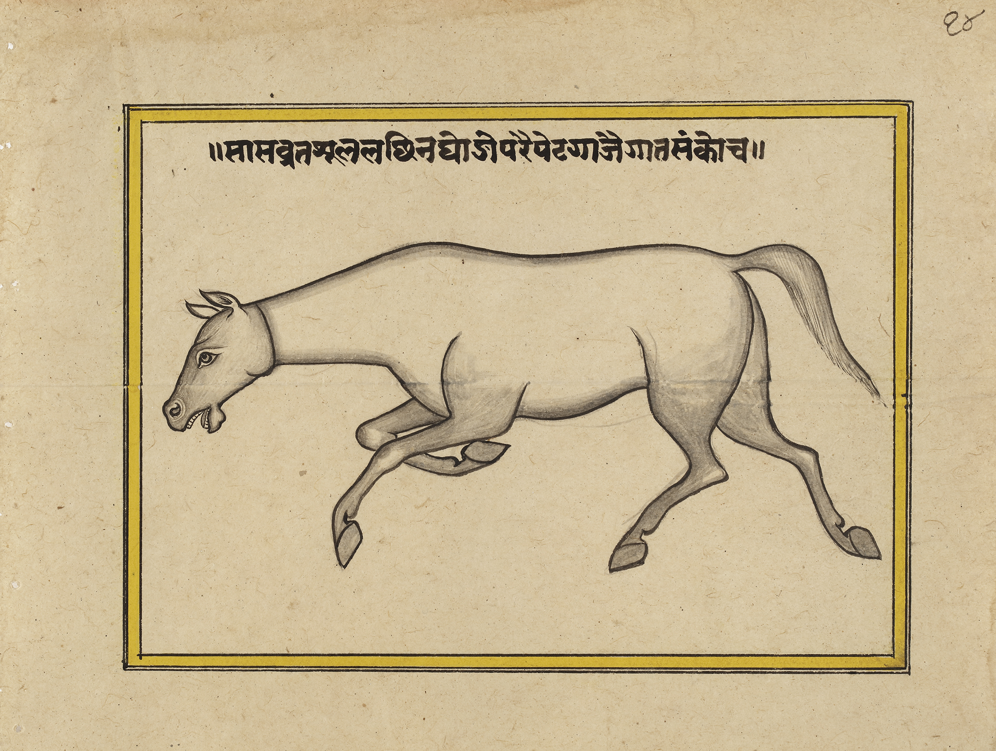 FIFTEEN ILLUSTRATED LEAVES FROM A MANUSCRIPT ON HORSES, INDIA, RAJASTHAN, 19TH CENTURY - Image 22 of 32