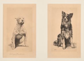 Herbert Dicksee (1862-1942) British. A Seated Dog, Etching, Signed in pencil, 7.5" x 4.25" (17.7 x