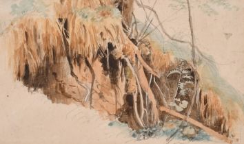 Attributed to John Ruskin (1819-1900) British. "Study of Roots", Watercolour and pencil, Inscribed