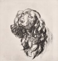 Athene Andrade (1908- 1973) British. Head of a Spaniel, Etching, Signed and numbered 1/33 in pencil,