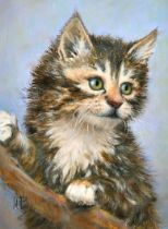 Irena Razumova (1999- ) Russian. "My Kitten", Oil on canvas, Signed with initials, and