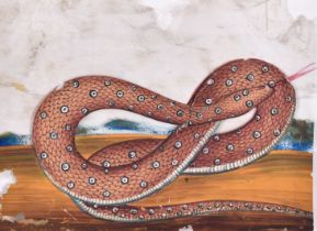 19th Century Indian School. Study of a Serpent, Watercolour on mica, unframed 4.25" x 5.5" (11.8 x