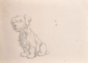 Attributed to Cecil Aldin (1870-1935) British. Study of Terrier Puppy, Pencil, unframed 10" x 14" (