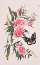 19th Century Chinese School. A Set of Three Still Life of Flowers and Butterflies, Watercolour on