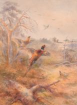 James Stinton (1870-1961) British. "A Flush of Pheasants", Watercolour, Signed, 12.75" x 9.5" (32.