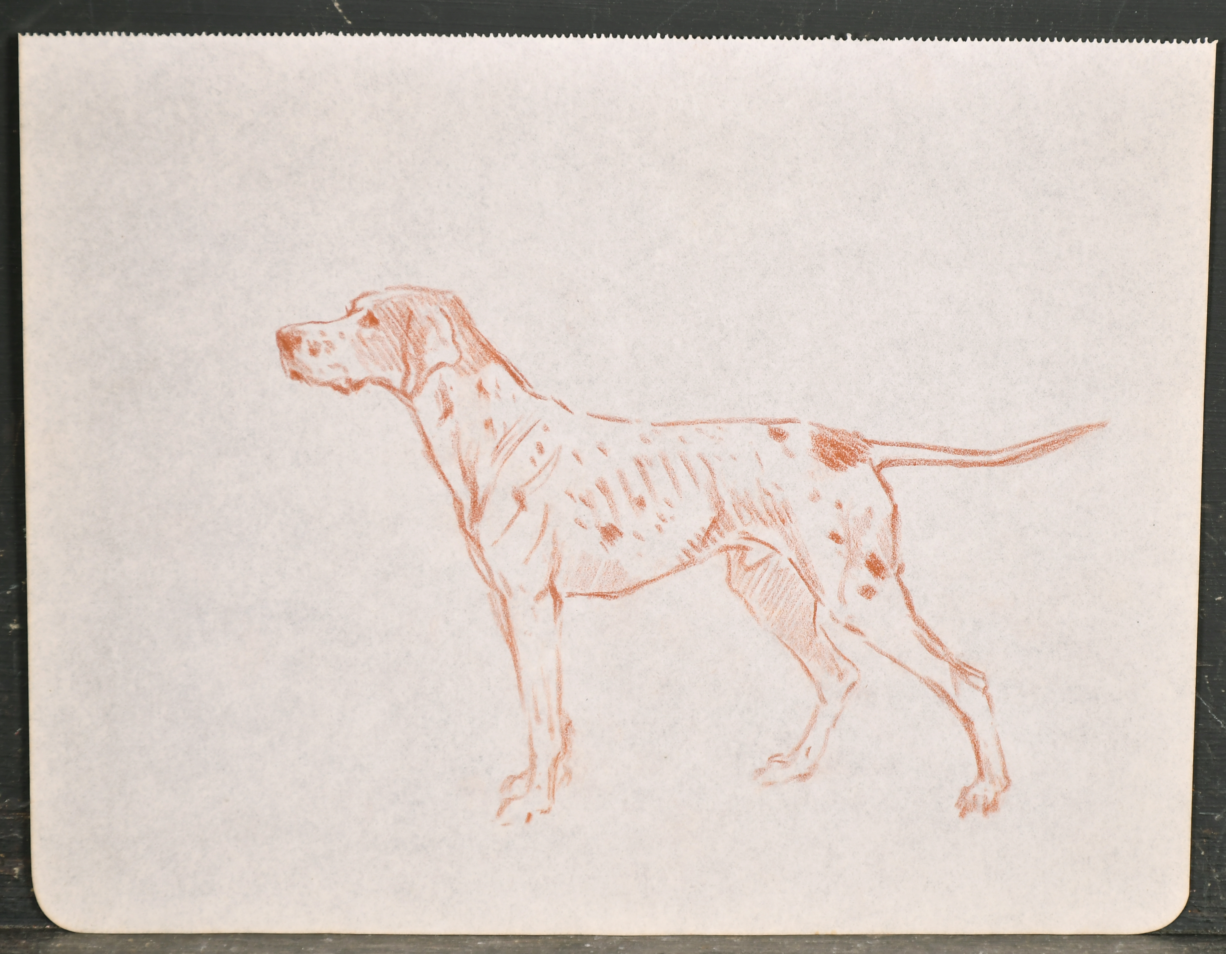 Thomas Blinks (1860-1912) British. A Pointer on Point, Chalk, unframed 7.75" x 10" (19.7 x 25. - Image 8 of 10