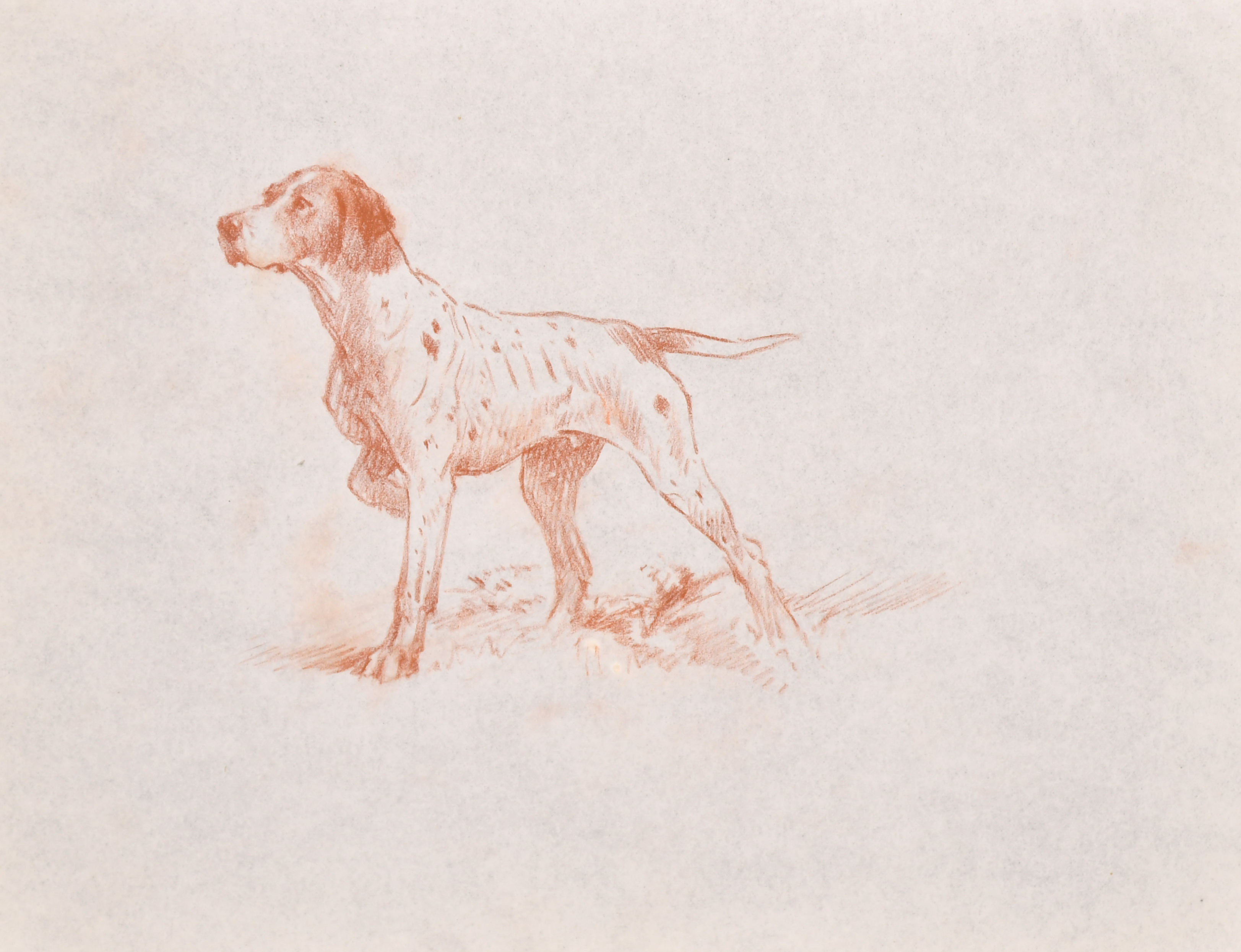 Thomas Blinks (1860-1912) British. A Pointer on Point, Chalk, unframed 7.75" x 10" (19.7 x 25.