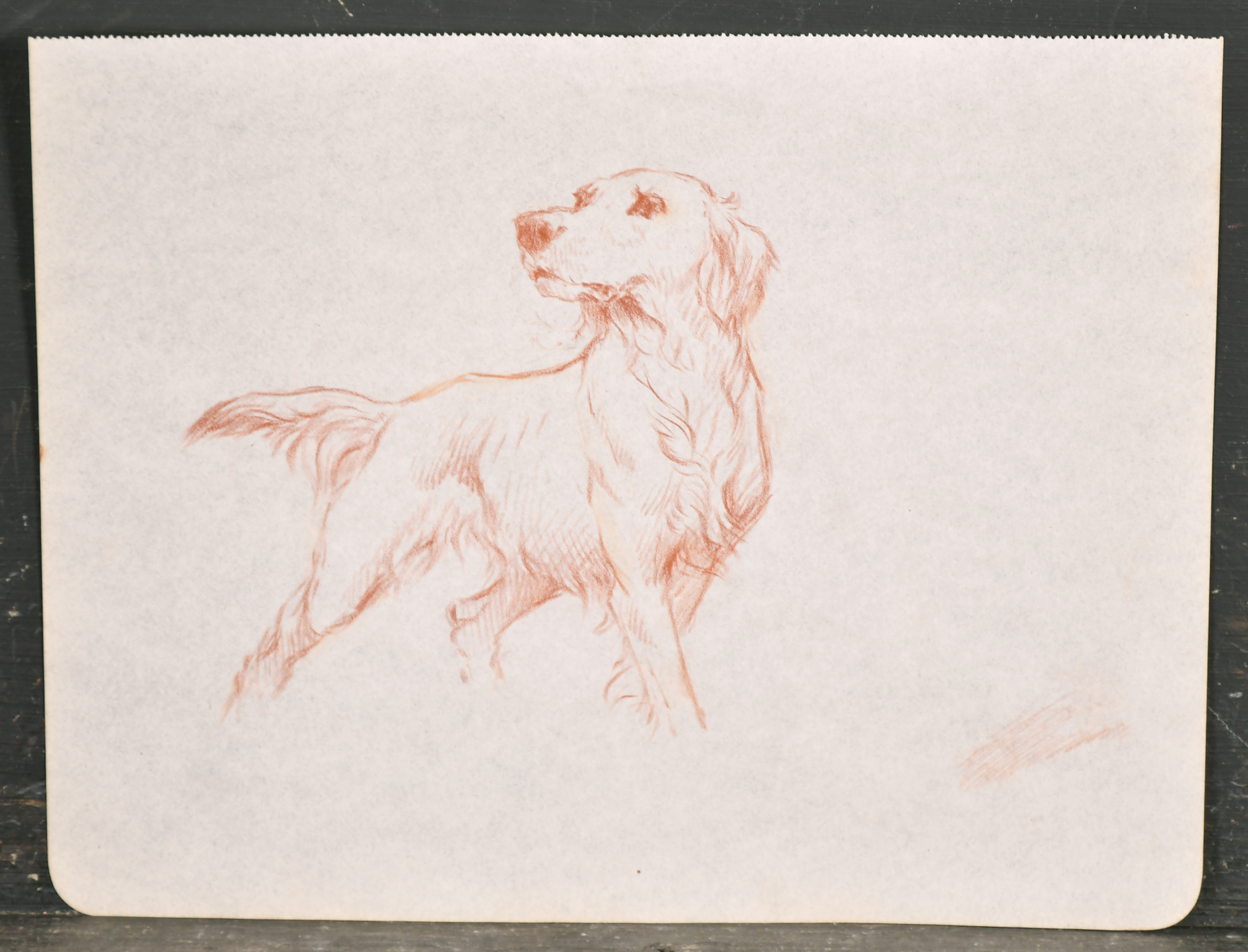 Thomas Blinks (1860-1912) British. A Pointer on Point, Chalk, unframed 7.75" x 10" (19.7 x 25. - Image 3 of 10