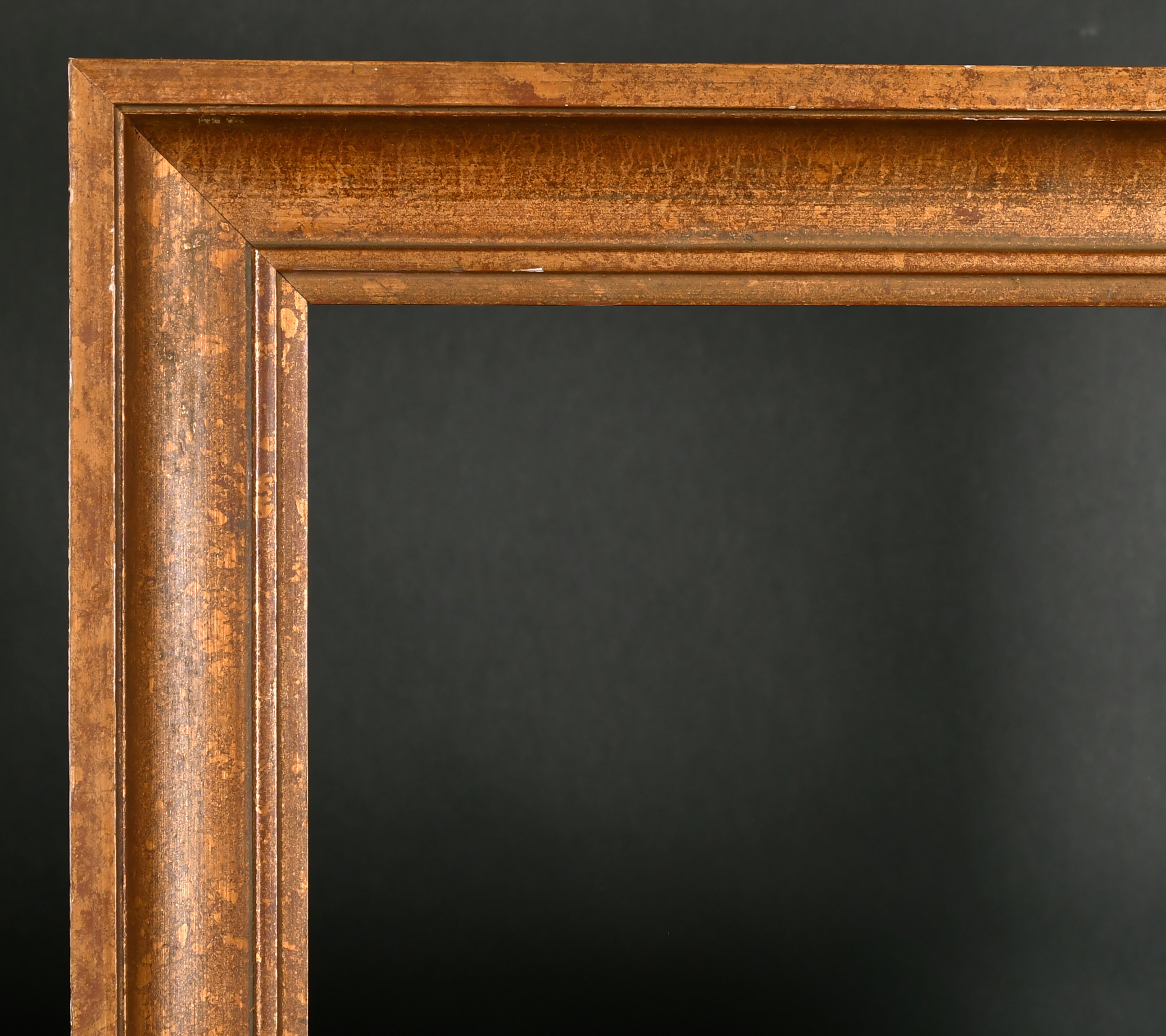 Early 20th Century European School. A Gilt Composition Frame, rebate 25.5" x 19.25 (64.8 x 48.8cm)