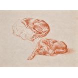 Thomas Blinks (1860-1912) British. Study of Sleeping Setters, Chalk, unframed 7.75" x 10" (19.7 x