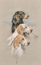 Arthur Wardle (1860-1949) British. "Setters", Pastel, Signed, and inscribed verso, unframed 17.5"