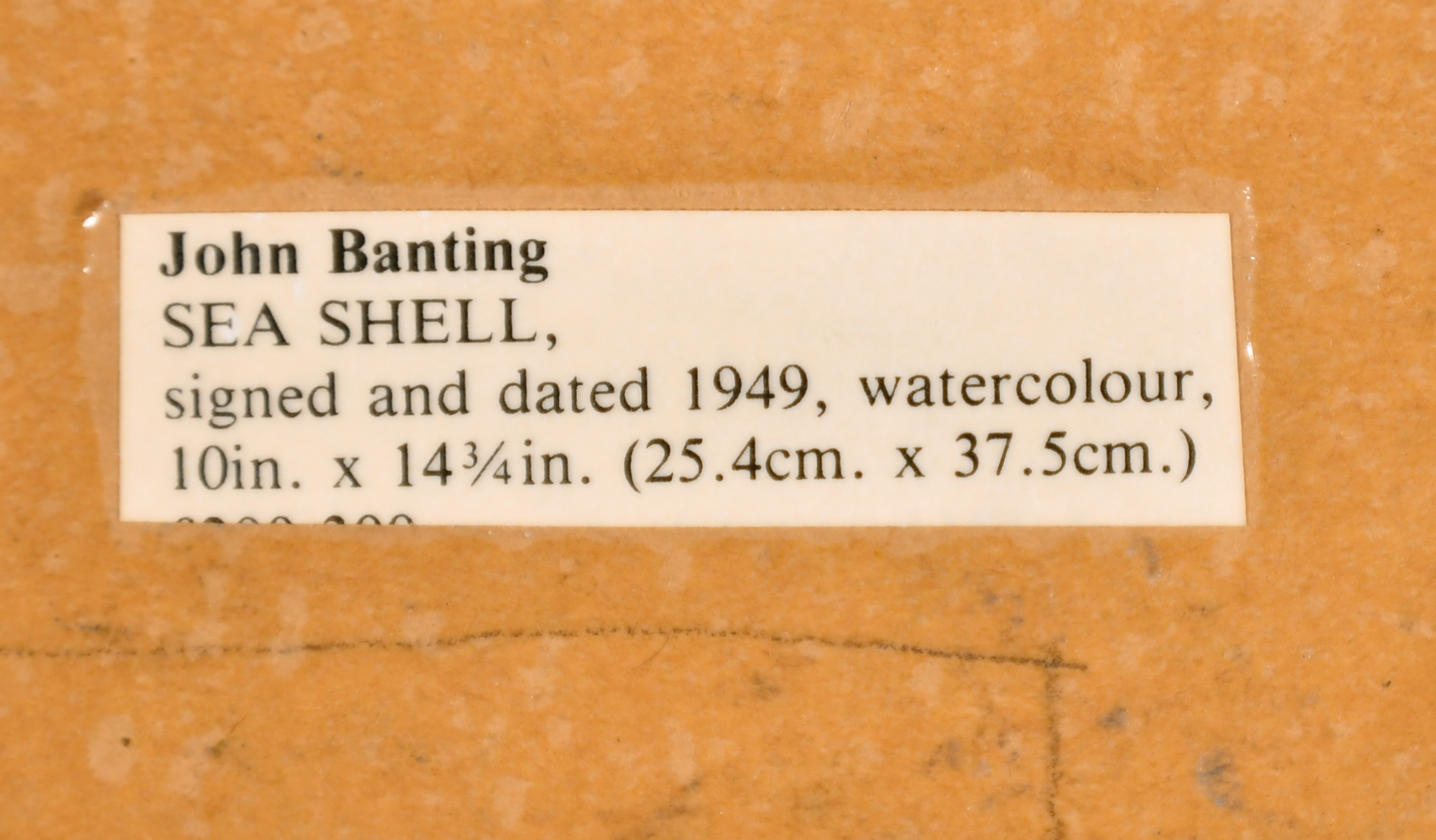 John Banting (1902-1971) British. "Sea Shell", Watercolour, Signed and dated 1949, and inscribed - Image 4 of 5