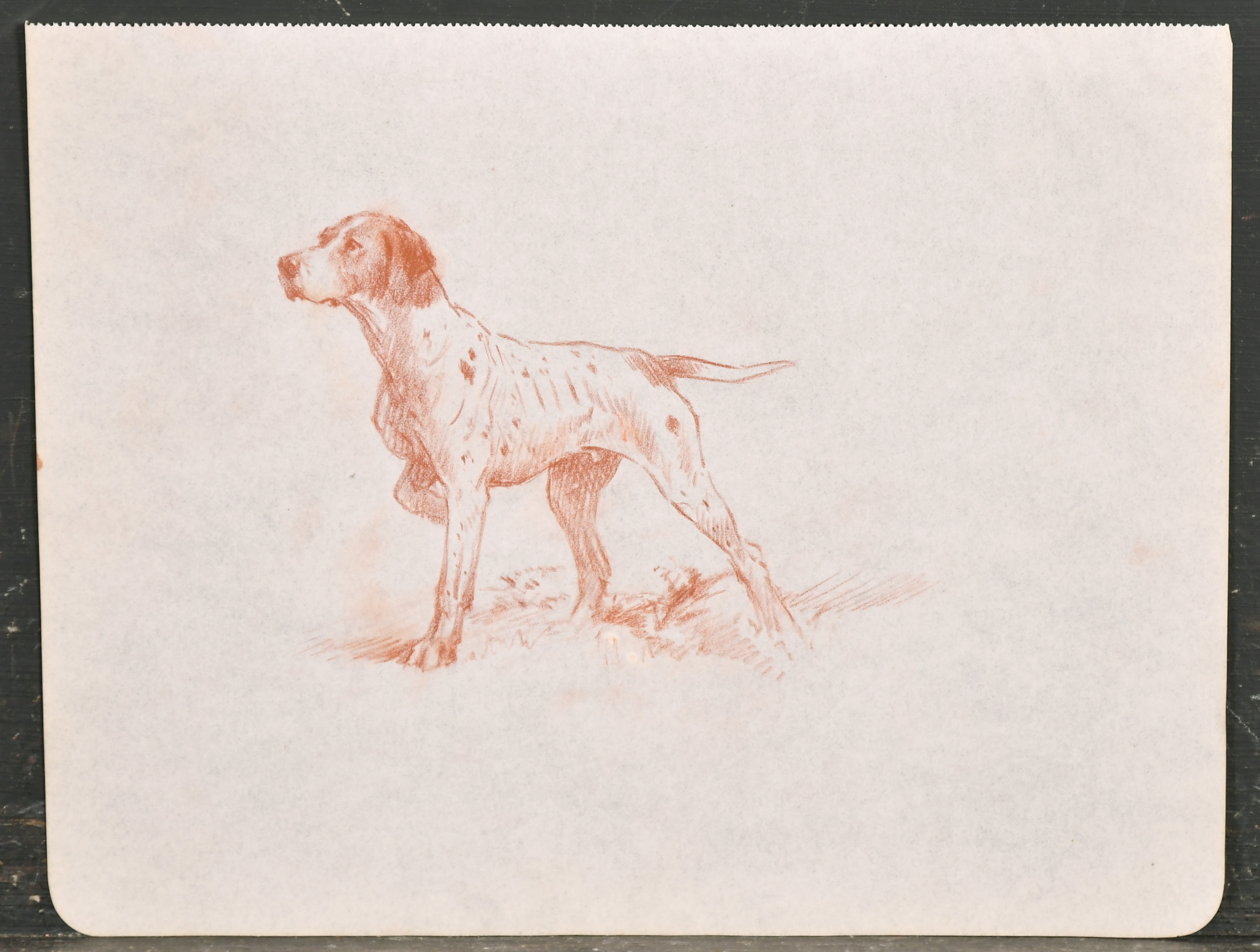 Thomas Blinks (1860-1912) British. A Pointer on Point, Chalk, unframed 7.75" x 10" (19.7 x 25. - Image 2 of 10