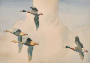 Circle of Philip Rickman (1891-1982) British. Ducks in Flight, Watercolour, 9.5" x 13.75" (24.1 x