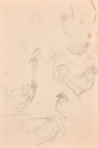 Michael Lawrence Cadman (1920-2010) British. Study of a Cockerel, Pencil, Inscribed, unframed 22"