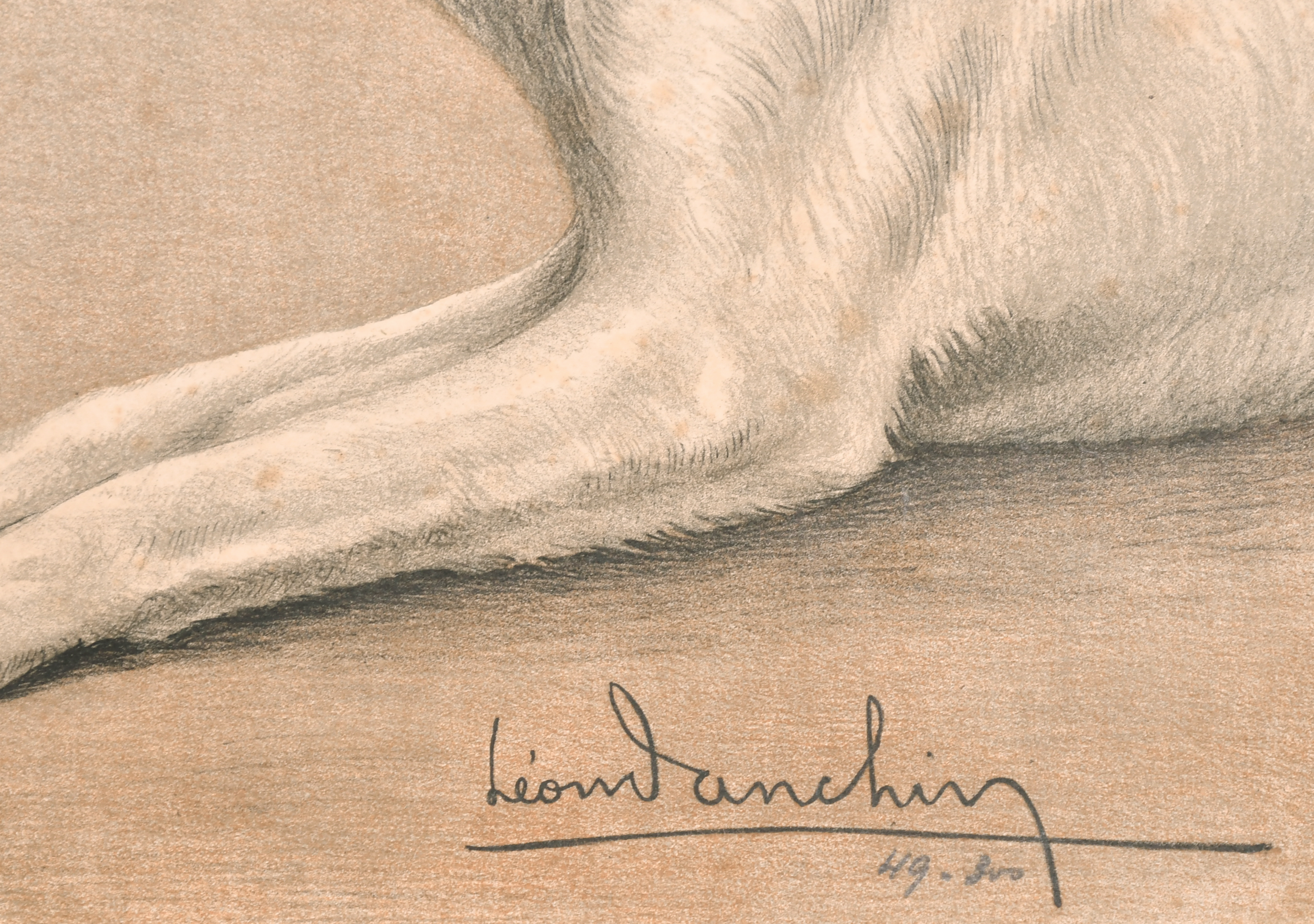 Leon Danchin (1887-1938) French. Terriers and Cat, Print, Numbered 49/300 in pencil, unframed 19. - Image 3 of 4
