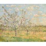 Early 20th Century English School. Apple Blossom, Oil on board, Signed with initial 'P', and