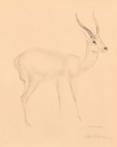 John Rattenbury Skeaping (1901-1980) British. "Antelope", Lithograph, Signed in pencil, 13.5" x