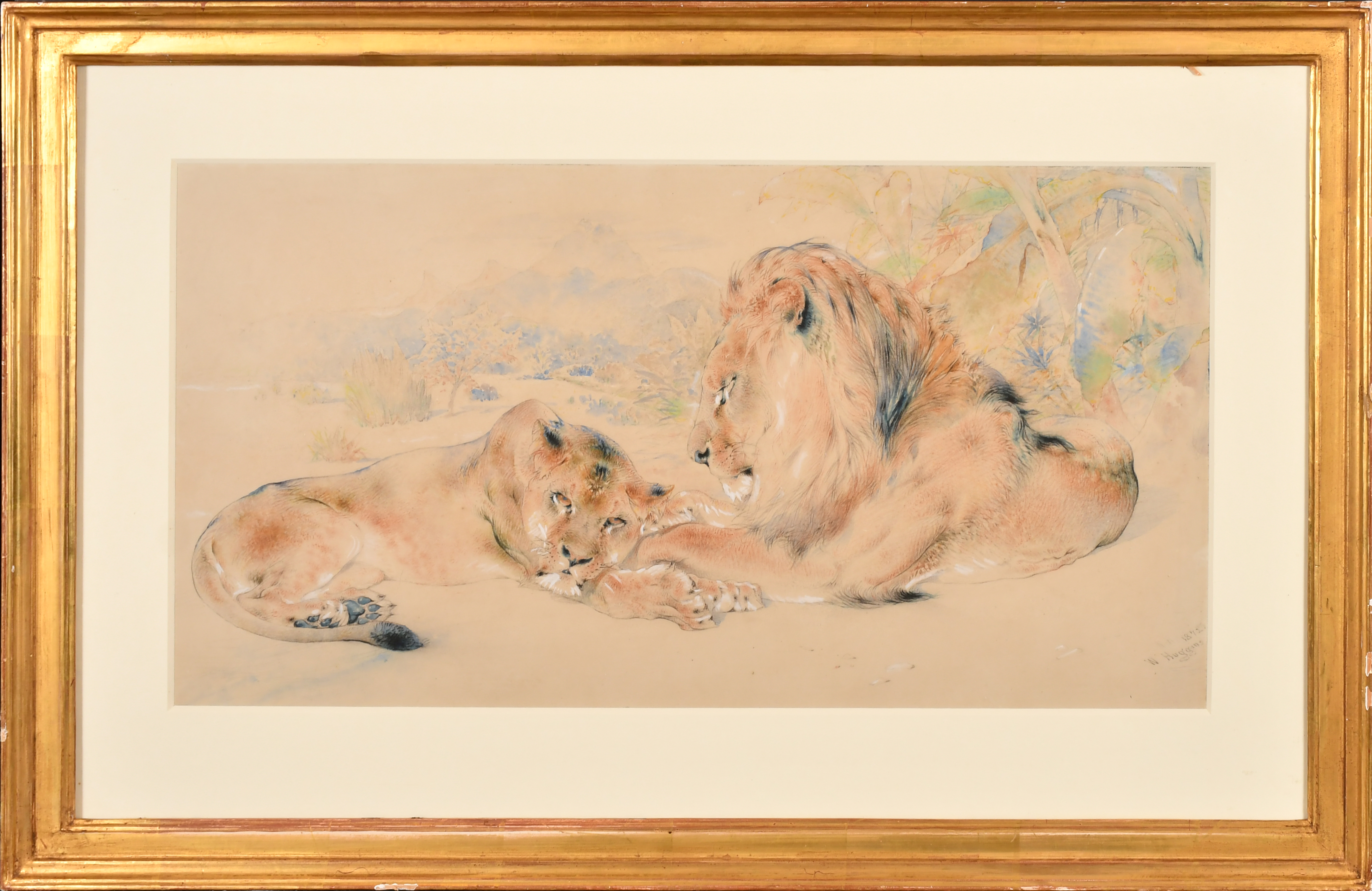 William Huggins (1820-1884) British. 'Lions At Rest', Coloured chalks and wash, Signed and dated - Image 2 of 5