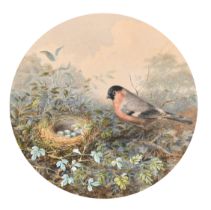 Circle of Henry Bright (1810-1873) British. Guarding the Nest, Watercolour, Inscribed on a label