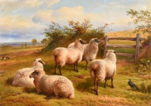 Charles Jones (1836-1892) British. Sheep by a Gate, Oil on canvas, Signed with initials and dated '