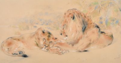 William Huggins (1820-1884) British. 'Lions At Rest', Coloured chalks and wash, Signed and dated