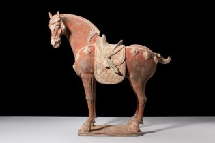 TANG DYNASTY TERRACOTTA HORSE - TL TESTED
