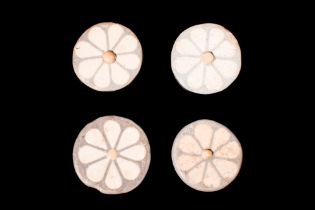 FOUR EGYPTIAN ROSETTE INLAYS