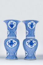 PAIR OF CHINESE BLUE AND WHITE PORCELAIN VASE