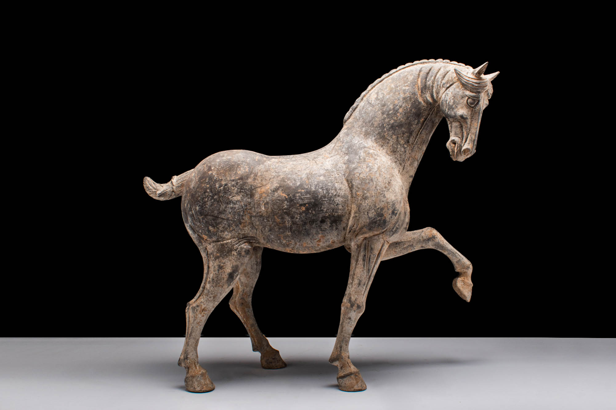 LARGE CHINESE TANG DYNASTY TERRACOTTA PRANCING HORSE - TL TESTED - Image 4 of 6