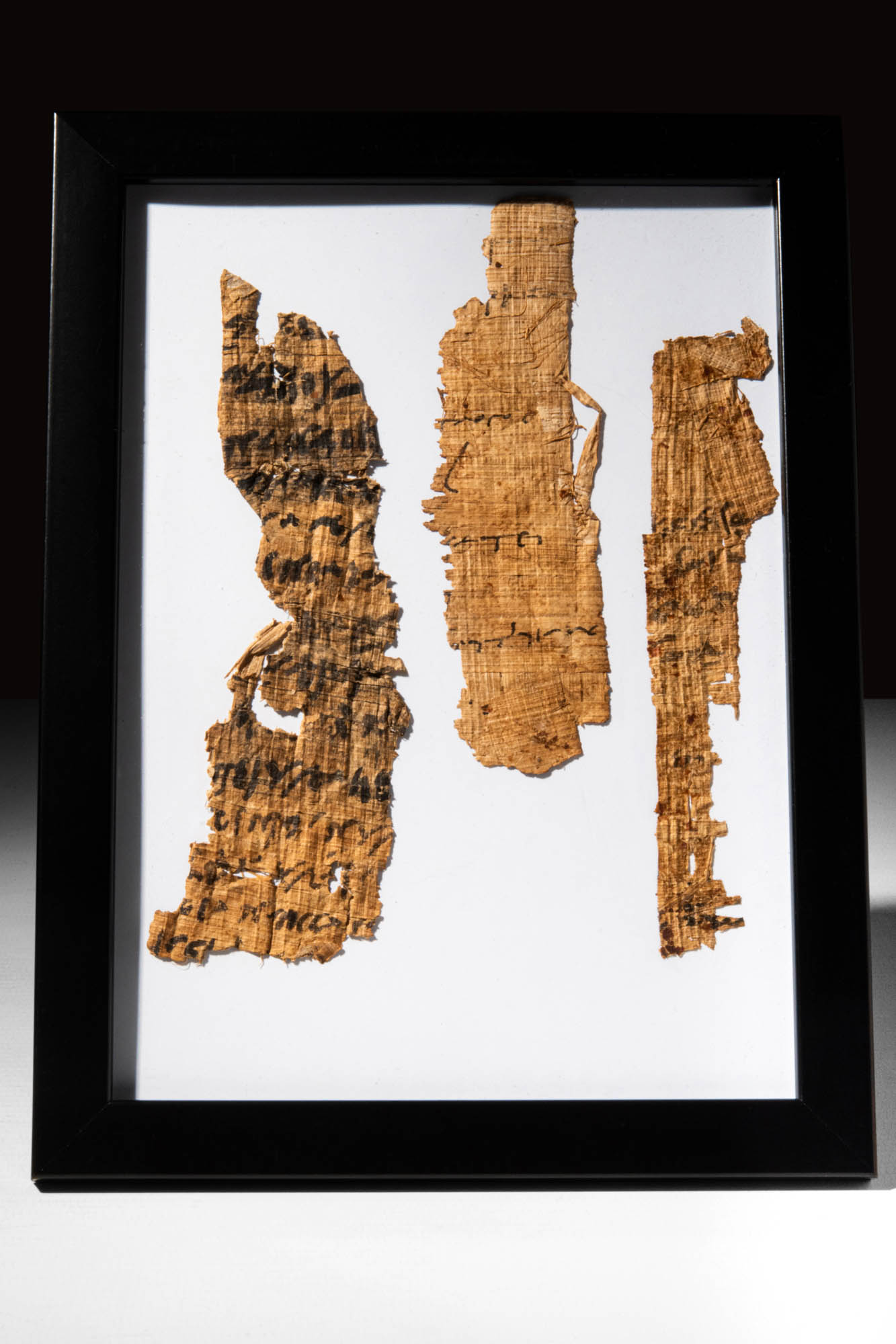 THREE FRAGMENTS OF PAPYRUS