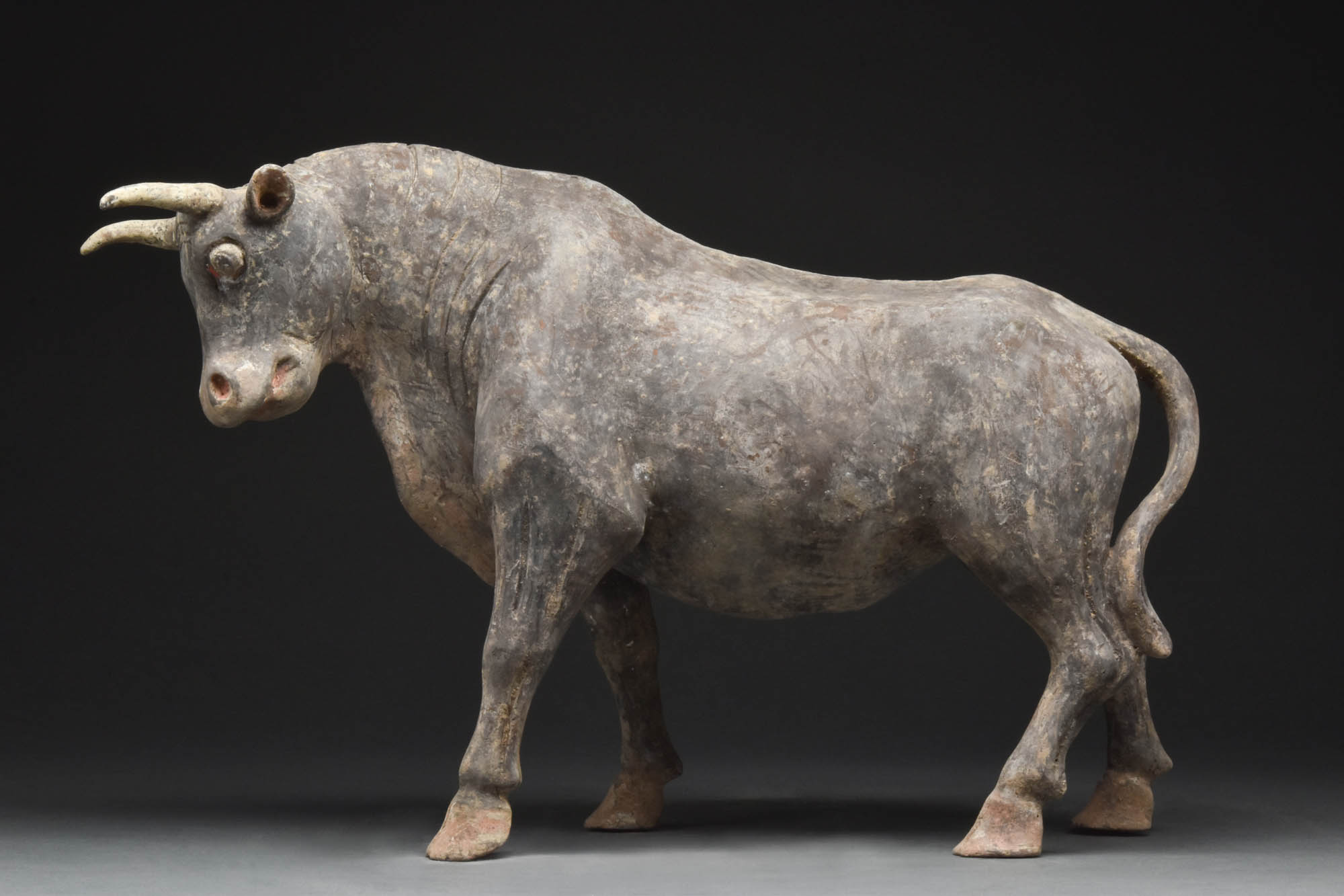 CHINESE NORTHERN WEI DYNASTY TERRACOTTA PAINTED OX - TL TESTED - Image 2 of 7