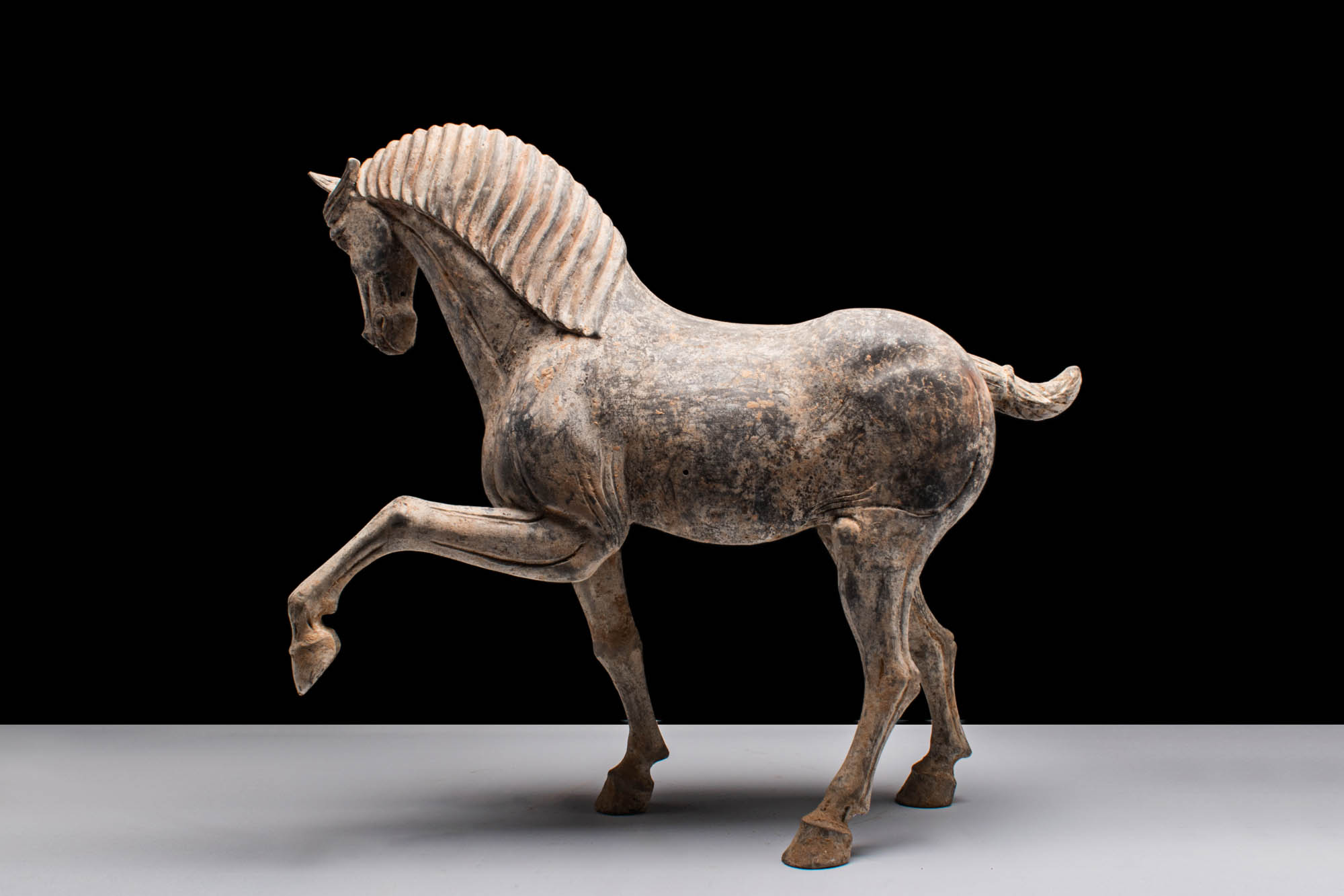 LARGE CHINESE TANG DYNASTY TERRACOTTA PRANCING HORSE - TL TESTED - Image 2 of 6