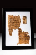 THREE FRAGMENTS OF PAPYRUS