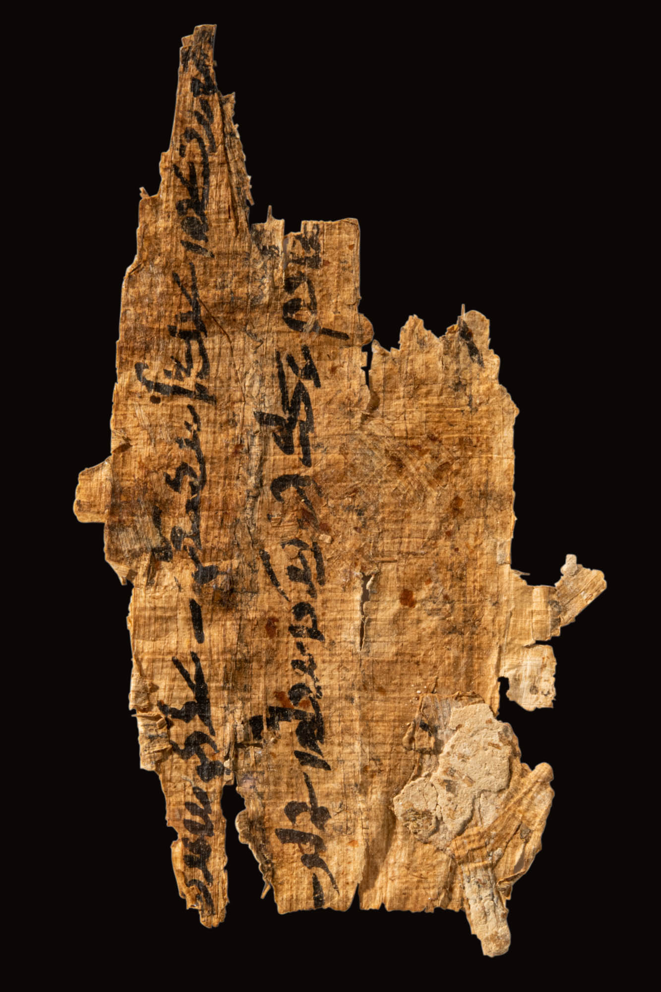 FIVE FRAGMENTS OF PAPYRUS - Image 3 of 5