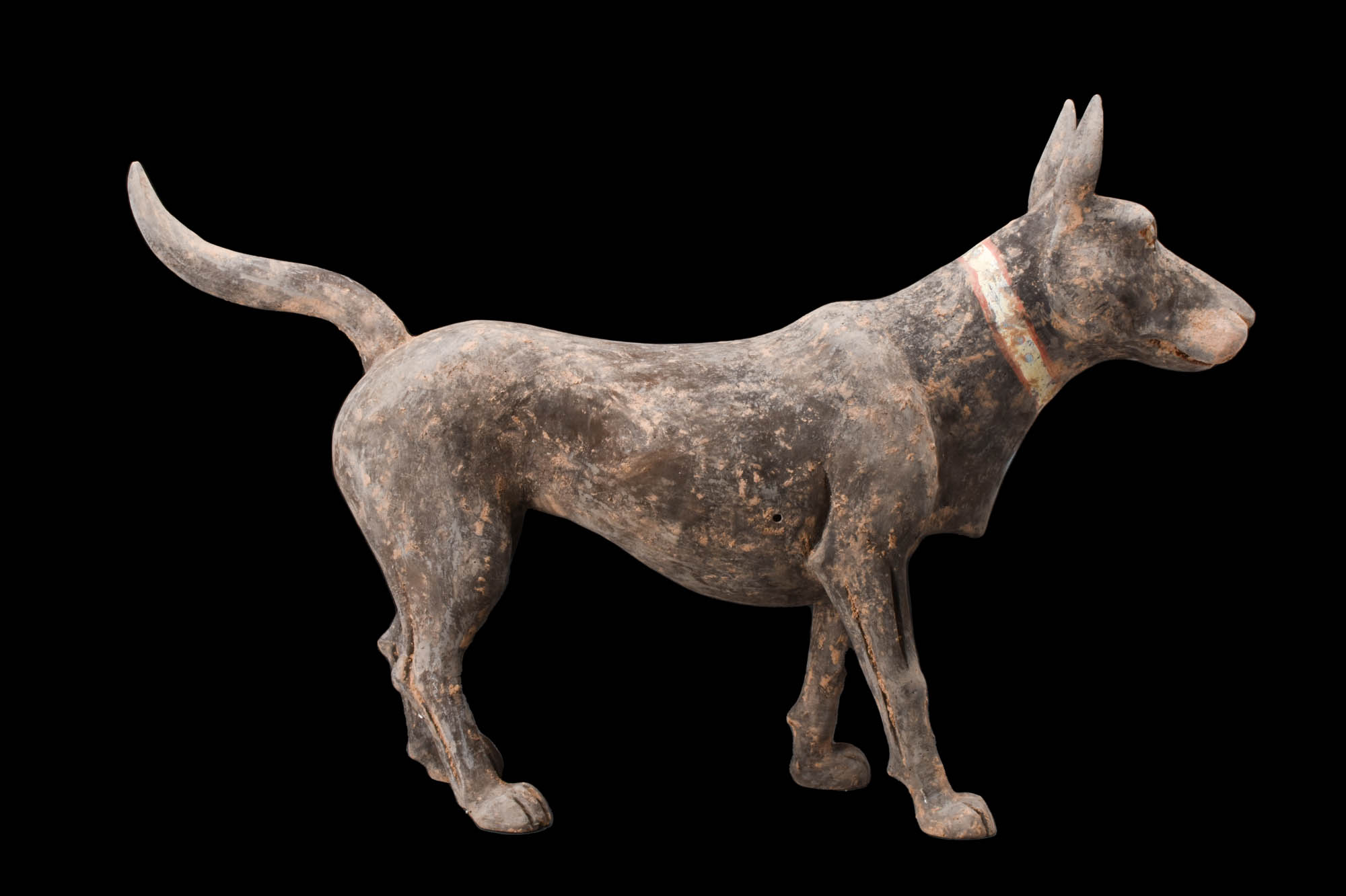 CHINESE HAN DYNASTY TERRACOTTA DOG - TL TESTED