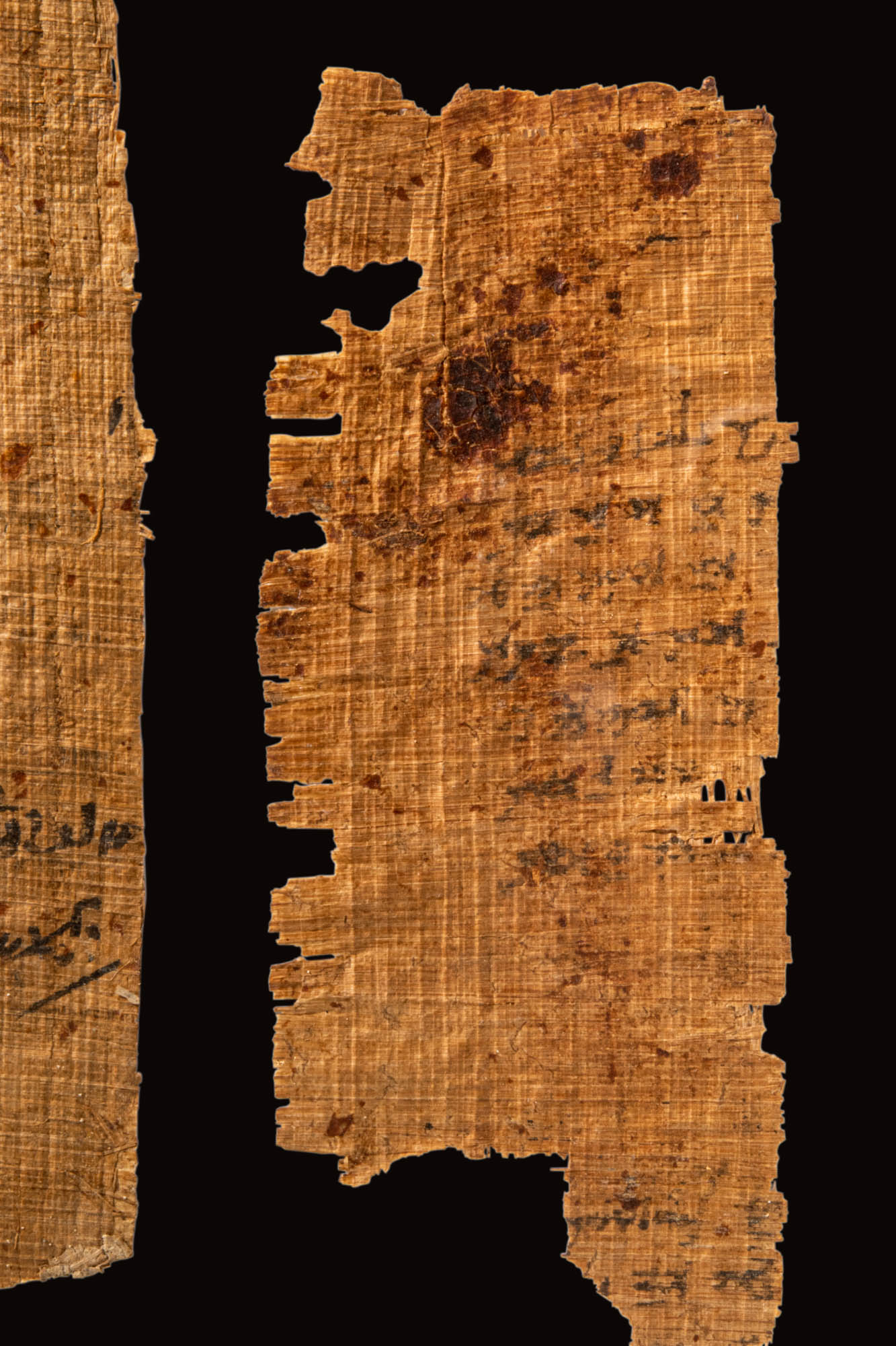 FIVE FRAGMENTS OF PAPYRUS - Image 5 of 5