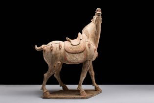 LARGE CHINESE TANG DYNASTY TERRACOTTA HORSE - TL TESTED