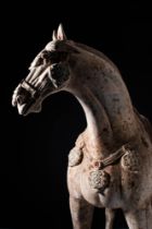 CHINESE TANG DYNASTY TERRACOTTA HORSE - TL TESTED