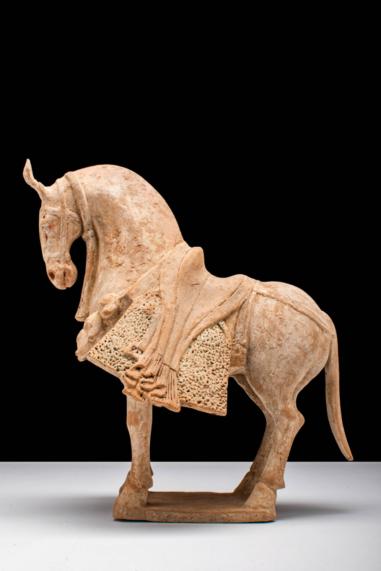 CHINESE NORTHERN WEI DYNASTY TERRACOTTA CAPARISONED HORSE - TL TESTED - Image 2 of 6