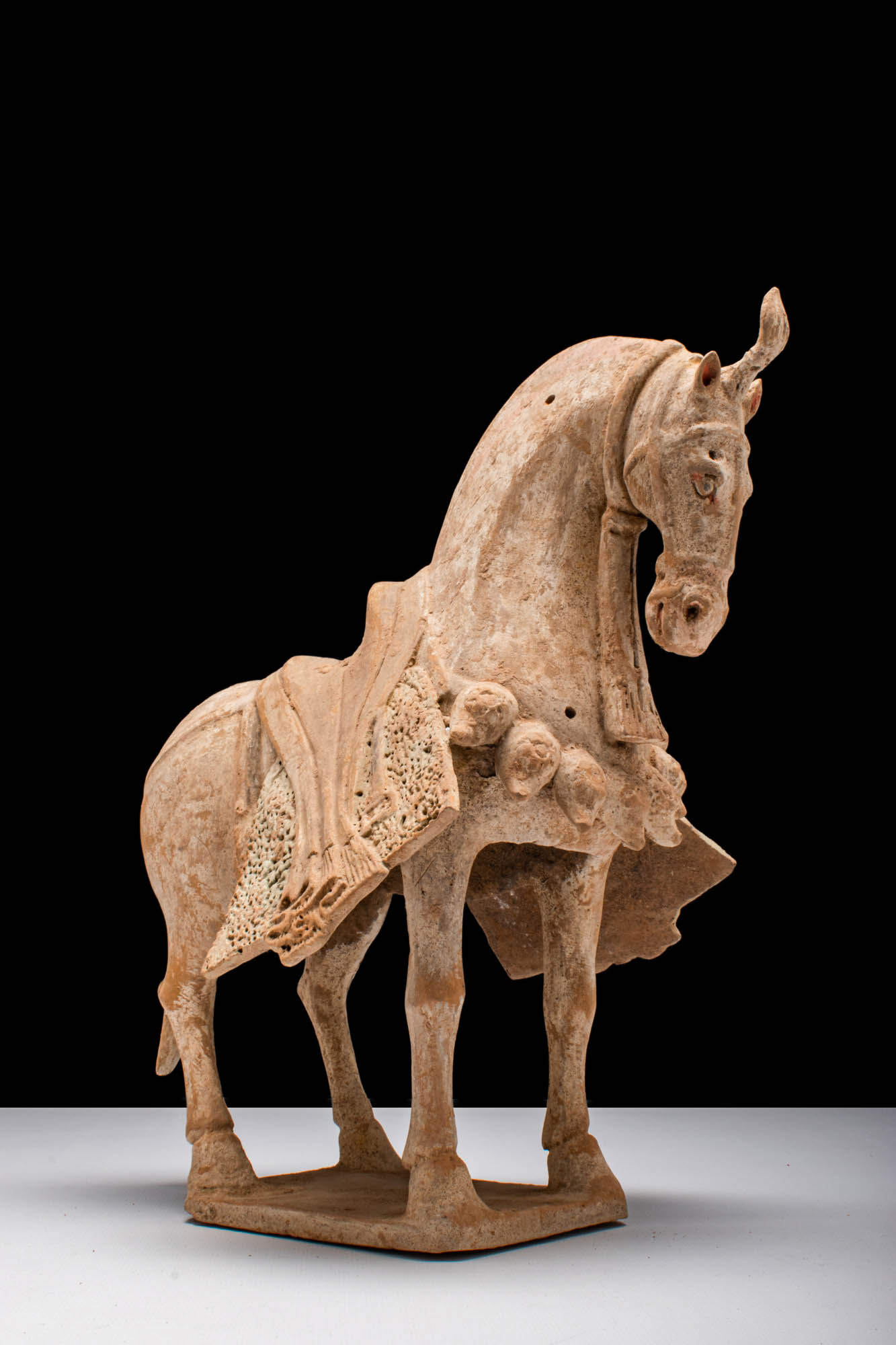 CHINESE NORTHERN WEI DYNASTY TERRACOTTA CAPARISONED HORSE - TL TESTED - Image 3 of 6