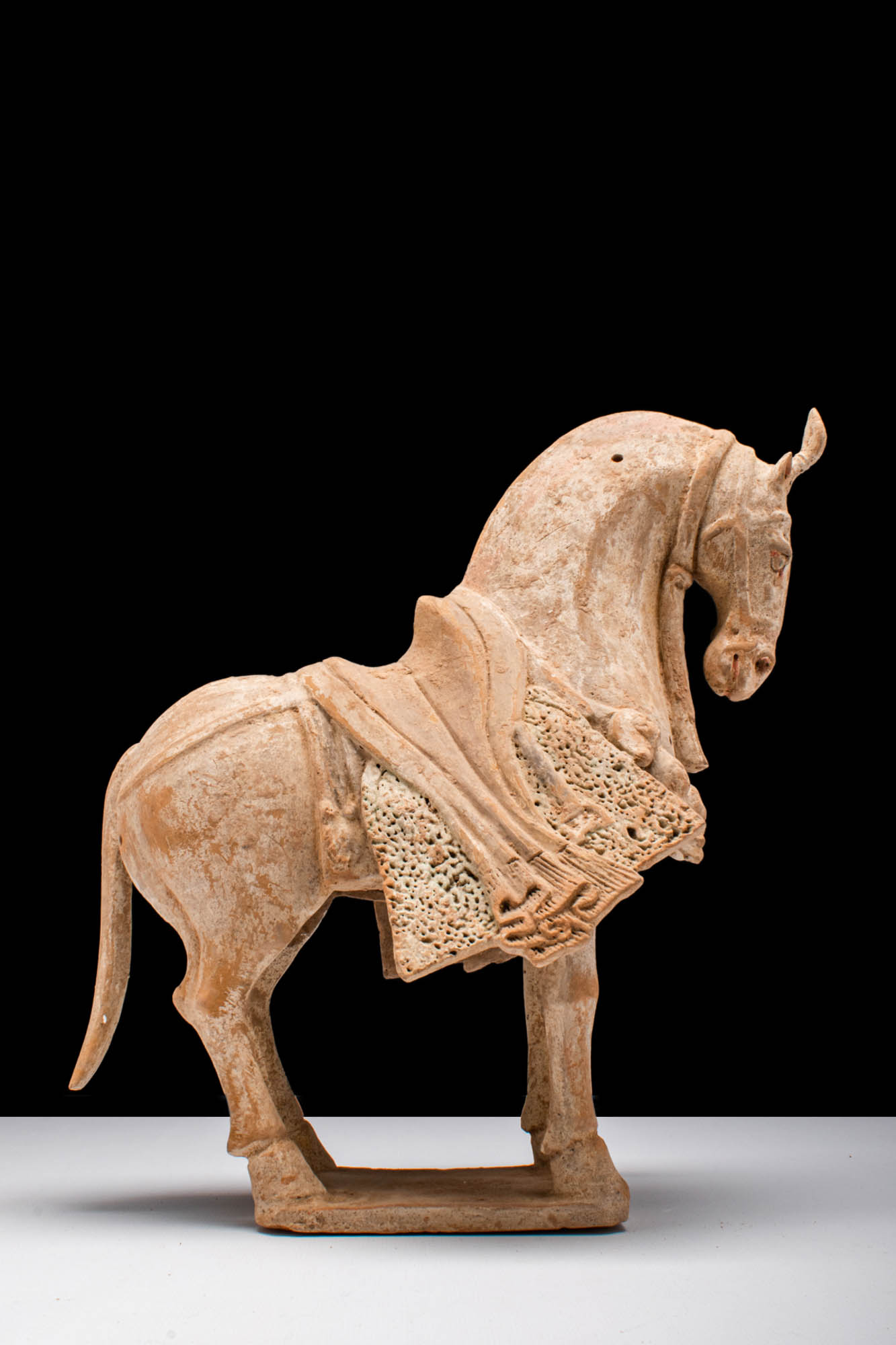 CHINESE NORTHERN WEI DYNASTY TERRACOTTA CAPARISONED HORSE - TL TESTED - Image 4 of 6